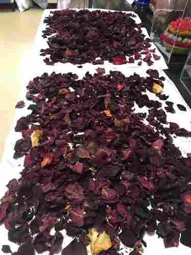 Vibrant Color Dry Rose Petals