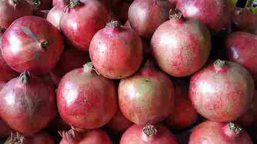 Fresh Sweet Red Pomegranates