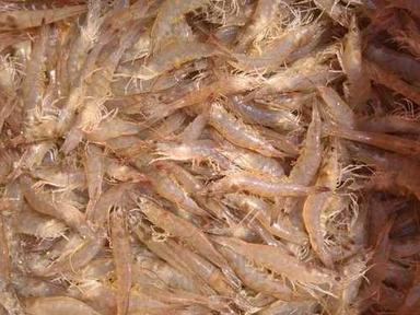 Raw And Frozen Prawns Grade: Commercial Use