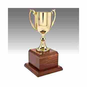Award Winning Plastic Trophy