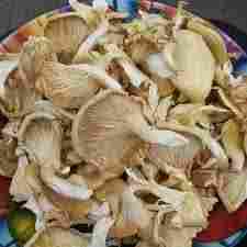 Hygienically Cultivated Dry Oyster Mushroom