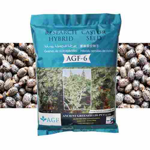 Organic Certified Castor Seeds