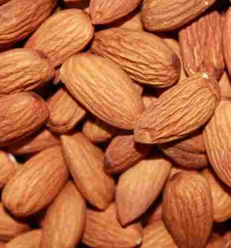 Fresh Almond Nut