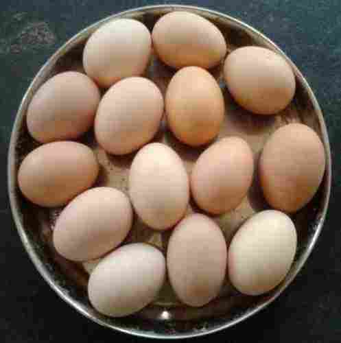 Desi Egg (Brown Egg)