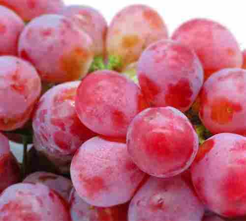 Red Globes Grape Fruit