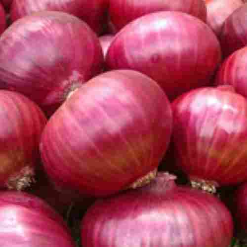 Fresh Red Onion (Lal Pyaz)