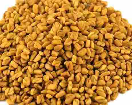 Natural Taste Dried Fenugreek Seeds
