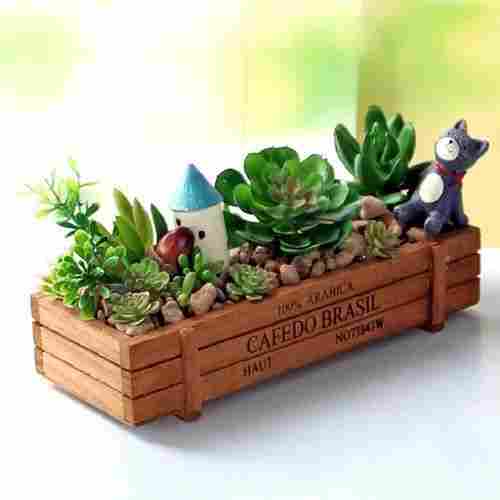 Sturdy and Lightweight Wooden Planter