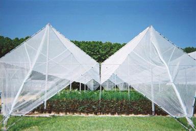 Anti Hail Net Application: Agriculture