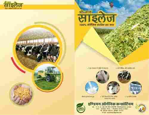 Nutritious Silage Cattle Feed