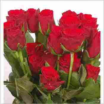 Red Ooty Artificial Rose