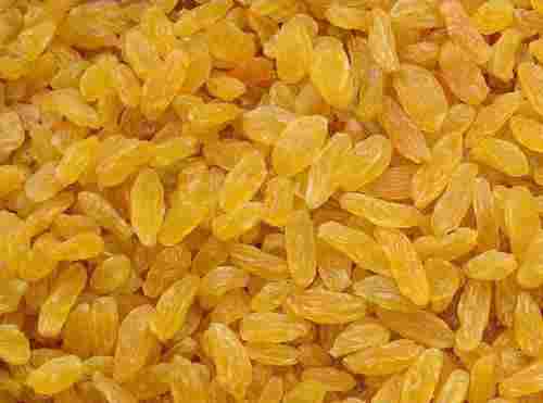 Export Quality Dried Golden Raisin