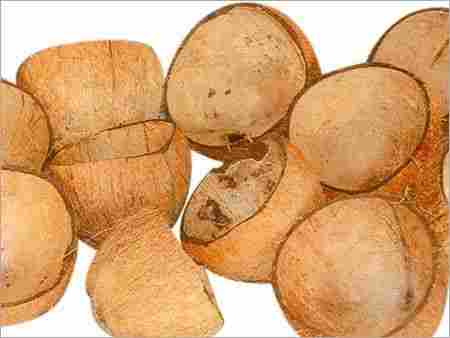 Natural Dried Coconut Shell