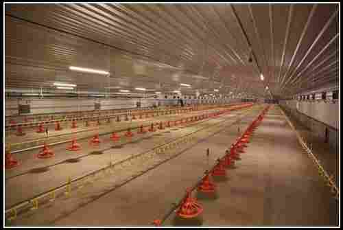Poultry Feeding System For Chicks