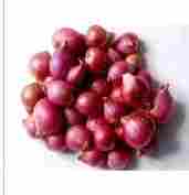 New Cultivated Fresh Natural Red Onion