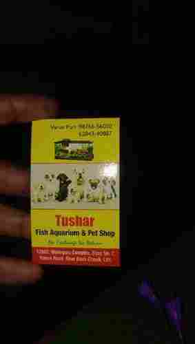 Tushar Aquarium Dog Food