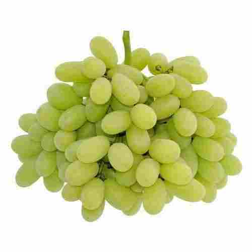 Tasty Fresh Green Grapes