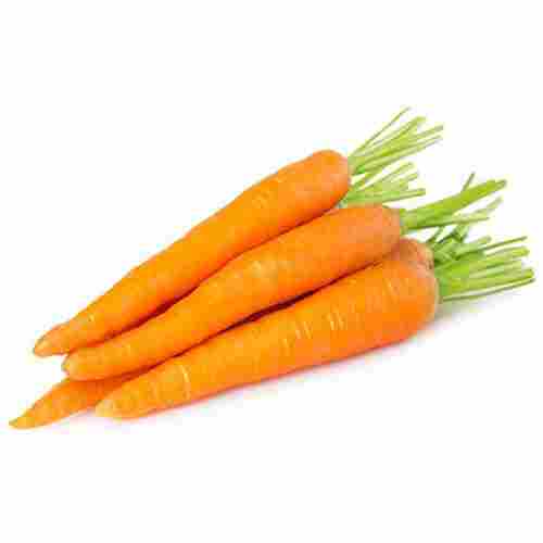 Fresh Red Carrot Vegetables