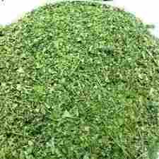 Pure Moringa Dried Leave