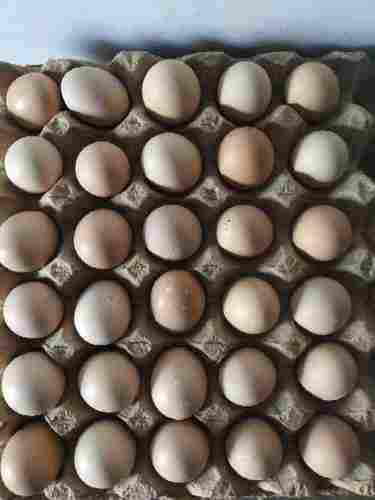 Fresh Country Chicken Eggs