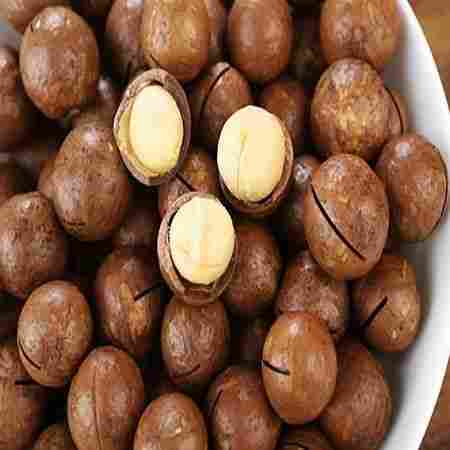 High Nutritional Value Macadamia Nuts