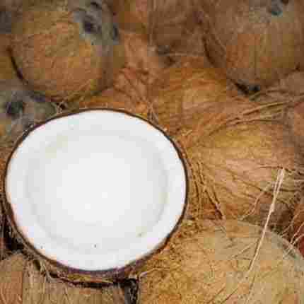 Semi Husked Dried Coconut