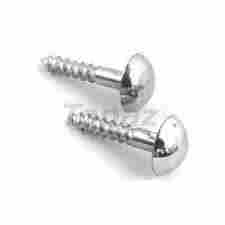 Brass Mirror Cap Screw