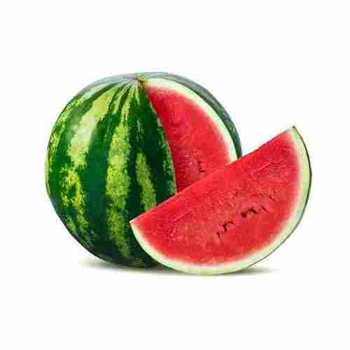 Highly Fresh Nutritious Watermelon