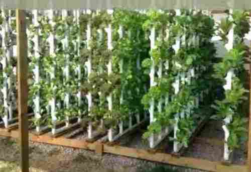 Aeroponic System For Plants