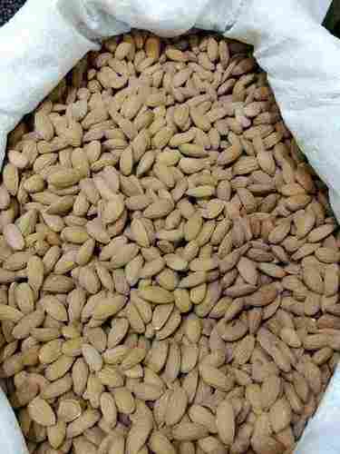 Natural Dried Almond Kernel