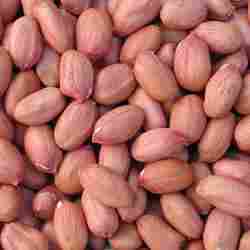 Natural Peanut (Groundnut Seeds)