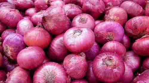 Fresh Natural Pink Onion