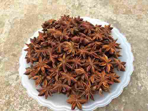 Bright Brown Star Anise