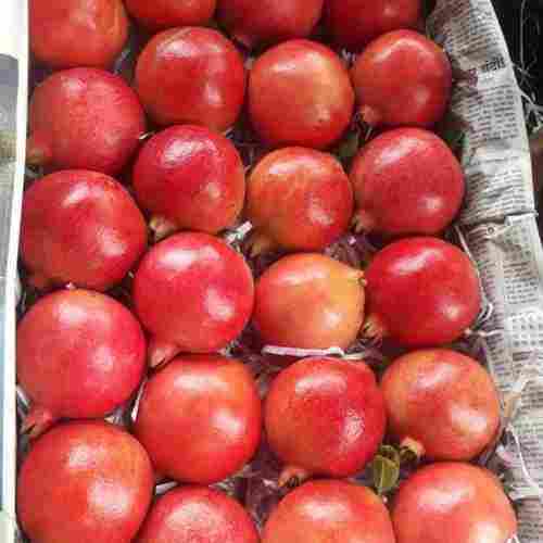 Pesticide Free Natural Sweet Pomegranate