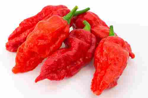Red Chilli Ghost Pepper