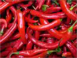 Red Color Chili Pepper