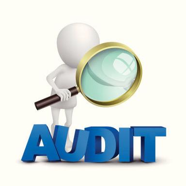 Business Audit Services
