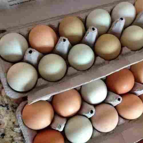 White and Brown Eggs