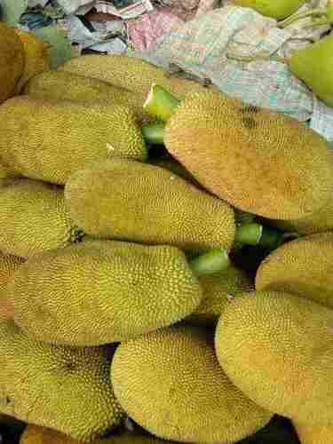 Farm Fresh Raw Jackfruit