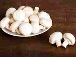 Fresh Button White Mushroom