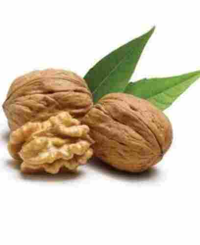 Dry Walnut For Good Nutrition