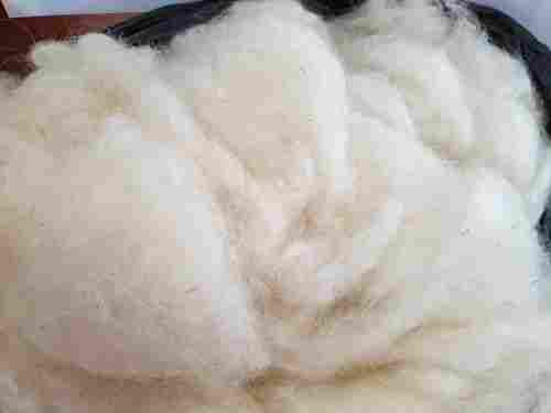 Natural Raw Sheep Wool