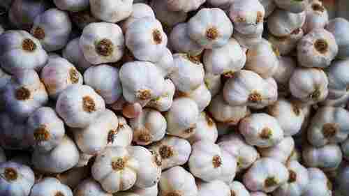 Organic Pure White Garlic