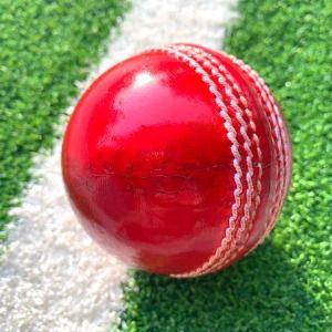 Plain Red Cricket Ball