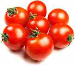 Fresh Indian Origin Tomato