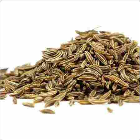 Indian Cumin Seeds