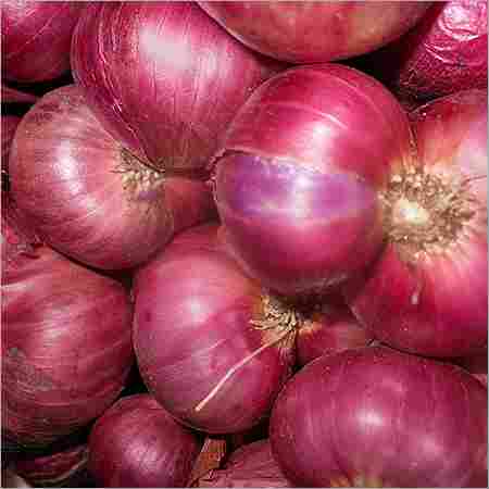 Farm Red Onion