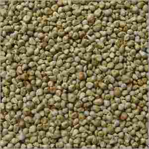 Millet Seeds