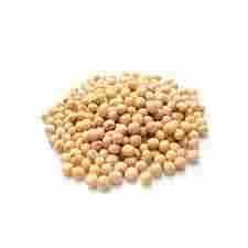 Organic Soya Bean Seed