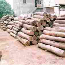 Sagwan Wood Round Logs